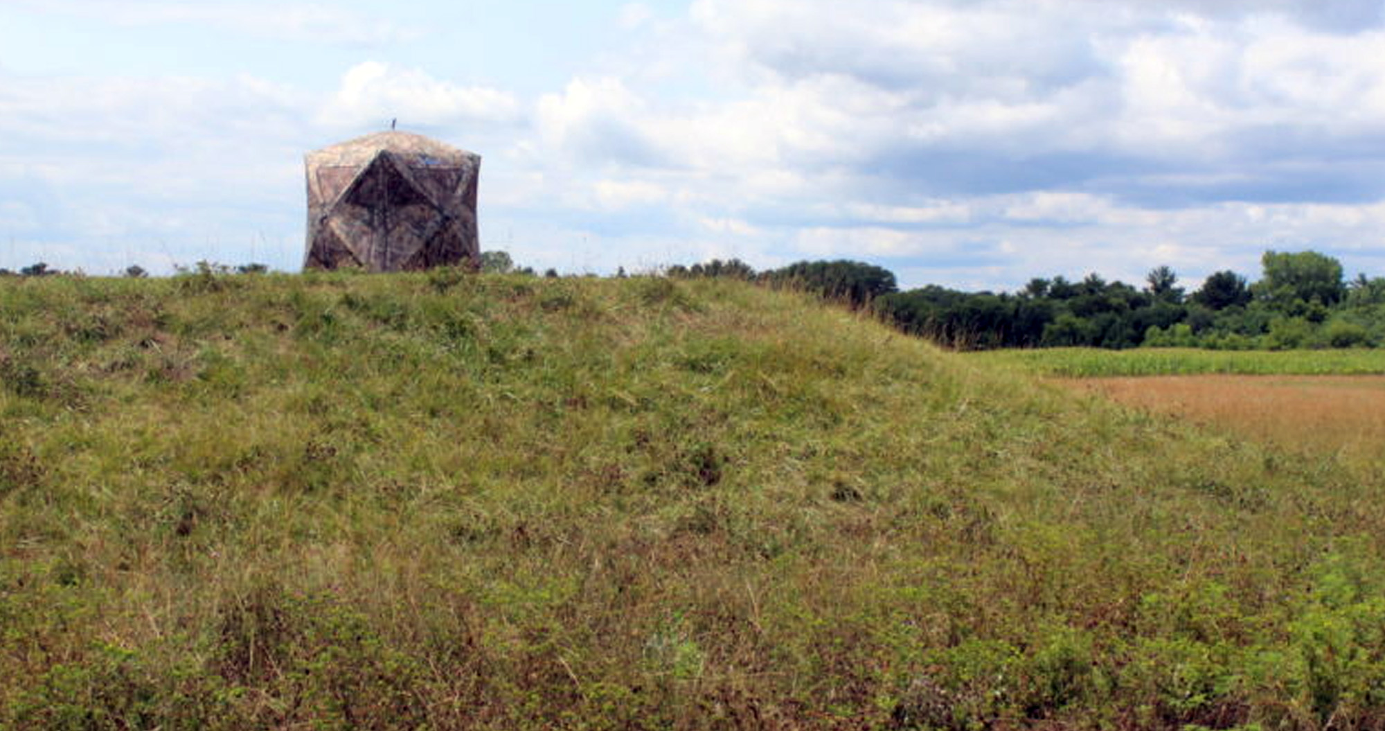 Hunting Land Improvement