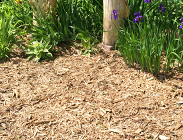 Mulch
