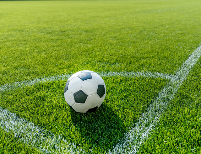 Sports Field Materials
